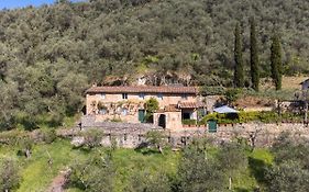 Locazione Turistica Il Metatino